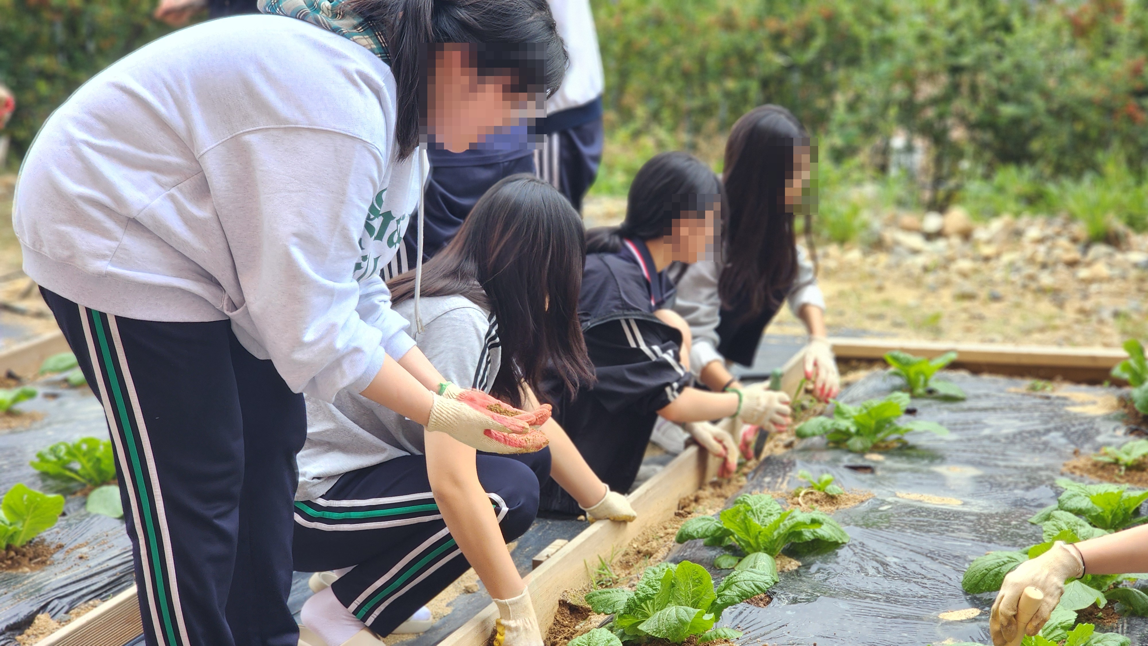 2025. 씨앗동무텃밭 일지(17)